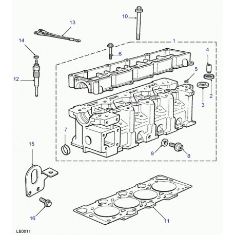 Land rover siege de soupape d'admission Freelander 1 (LGK101070L)