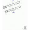 arbre a cames Range L322,  Sport