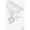 joint papillon Evoque