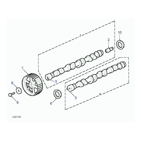 Land rover joint spi arbre a cames avant Freelander 1 (LUC100290L)