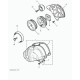 courroie pompe injection Freelander 1