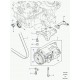 courroie Freelander 1