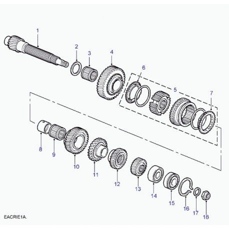 Land rover coussinet arbre a cames Freelander 1 (TUK10010L)