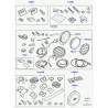 embleme plastique Range L322