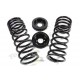 kit de conversion ressorts hauteur Discovery 2