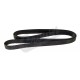 belt gatorback