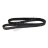 belt gatorback
