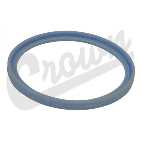 Crown gasket throttle body (04593899AA)