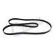 belt serpentine