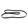 belt serpentine