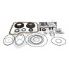 overhaul pkg transmission (45rfe) Wrangler JK