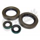seal kit oil