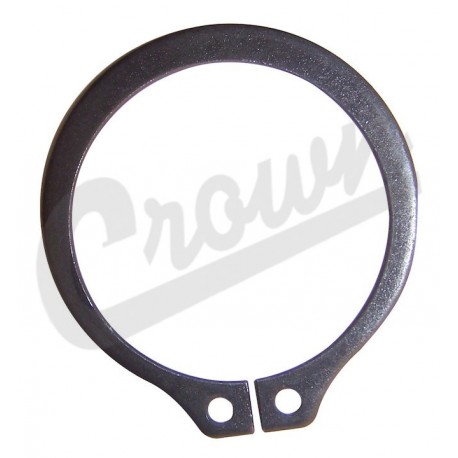 Crown snap ring (79876)