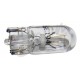 ampoule