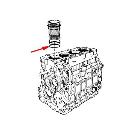 Vm motori o.ring-cyl.liner (04720626)