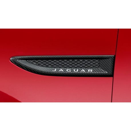 Jaguar moulure aile avant gauche carbone F-Pace (J9C3890)