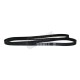 belt serpentine