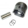 piston segmente
