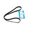 v-belt Freelander 1