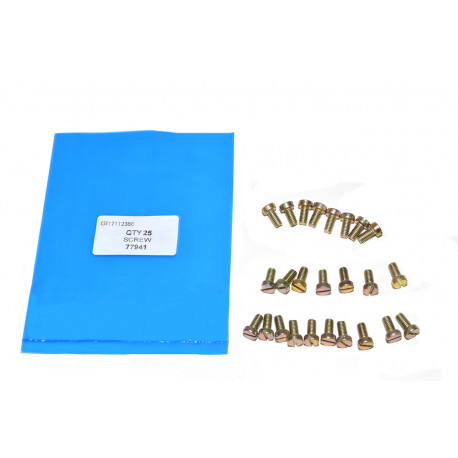 Oem screw (77941)