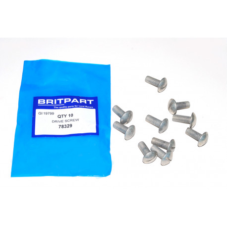 Oem drive screw (62715)