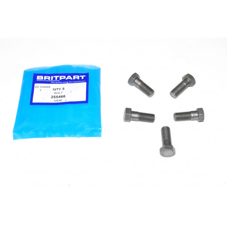 Oem BOULON (255466)