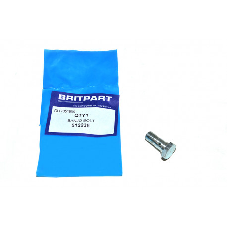 Britpart banjo bolt (62876)
