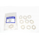 oil seal