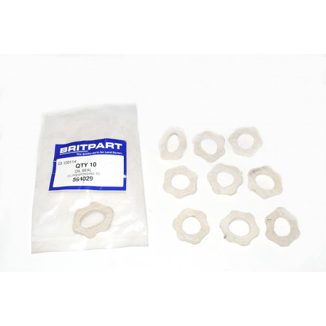 Oem oil seal (594029)