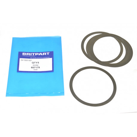 Oem Cale de réglage de 0,010 pouce (607179)