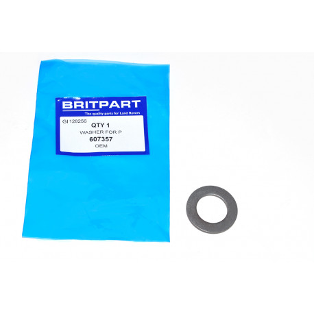 Oem washer for p (607357)