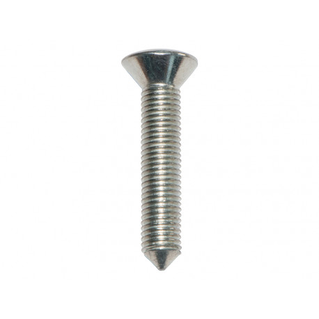 Oem screw for door hinge x 100 Defender 90, 110, 130 (79221)