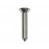 screw for door hinge x 100 Defender 90, 110, 130
