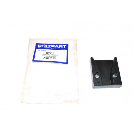 Oem Guide porte arriere  Discovery 2 et Freelander 1 (ASR1515)