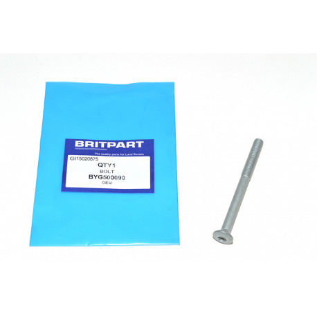 Oem boulon inferieur de charniere arriere (BYG500090)