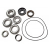 KIT DE ROULEMENTS DIFFERENTIEL ARRIERE