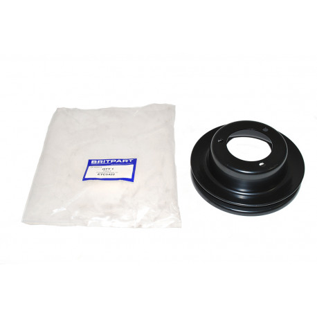 Oem poulie pompe a eau (ETC5422)