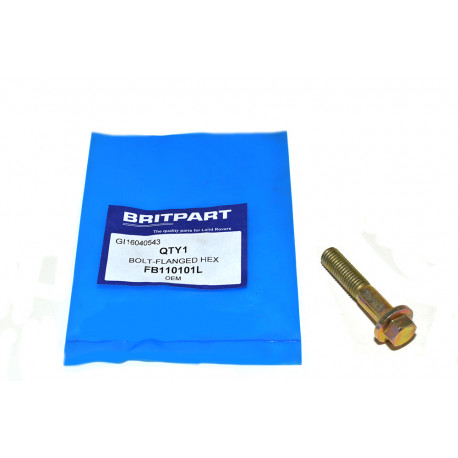 Oem bolt-flanged hex Discovery 2,  Freelander 1 et Range P38 (FB110101)