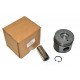 piston segmente Freelander 1