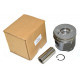 piston assy Freelander 1