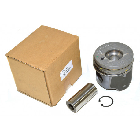 Britpart piston assy Freelander 1 (LFL104750L)