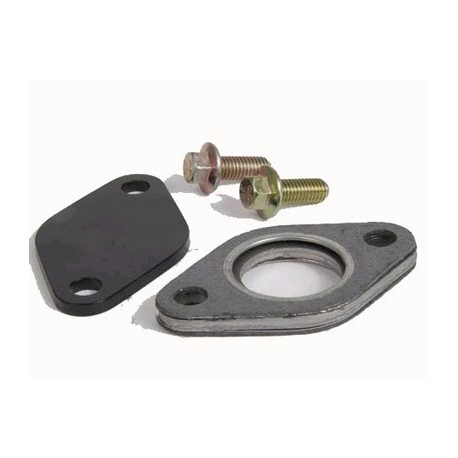 Terrafirma kit de supression valve egr Defender (04CD3)