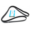 courroie 7PK2335