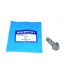 Vis M12 x 40 mm