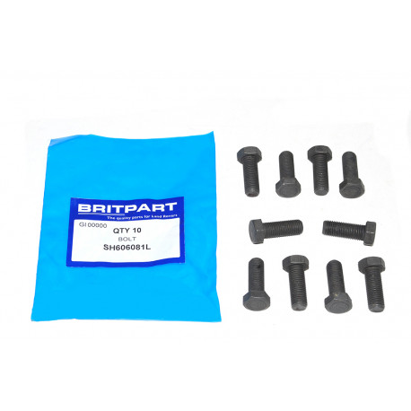 Britpart vis (SH606081L)