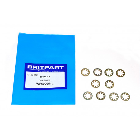 Oem RONDELLE (WF600051L)