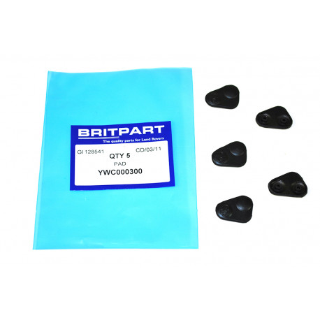 Britpart systeme a telecommande Range P38 (YWC000300)