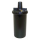 Crown bobine/allumage (76115)