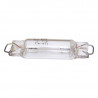 ampoule plafonnier