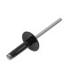 rivet